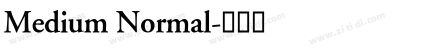 Medium Normal字体转换 Medium Normal字体转换